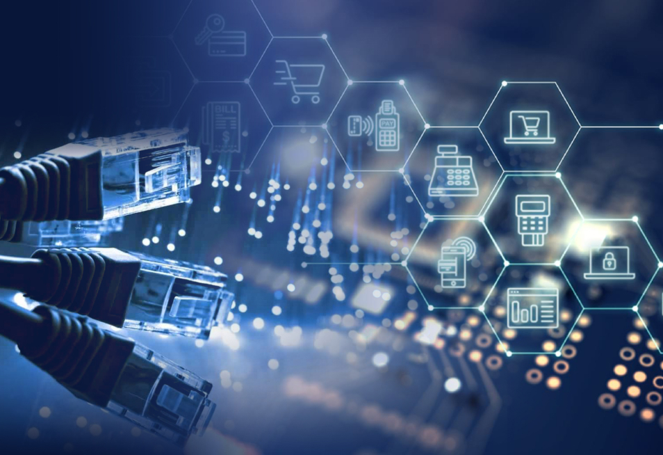 Network Audit