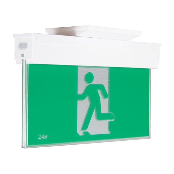 WPELLBE-Platinum-Exit-Photo-PPIP3DR