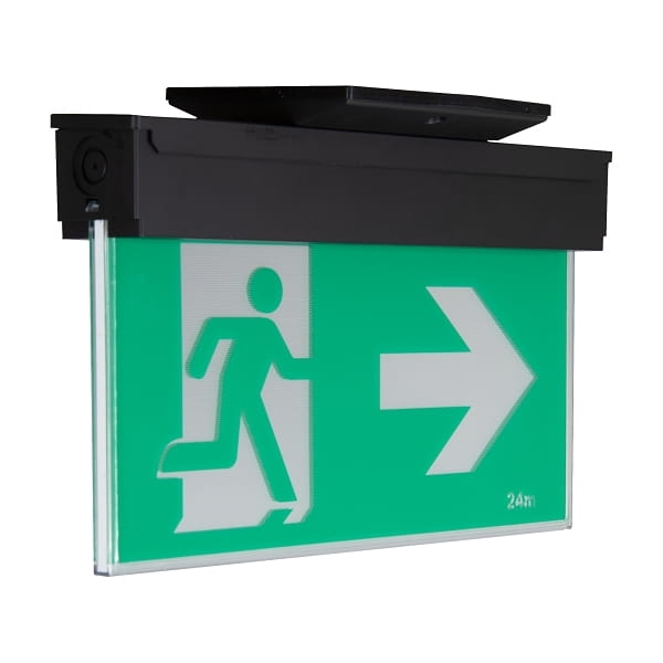 WPELLBEBBWD-Platinum-Exit-Photo-PPIP3DR