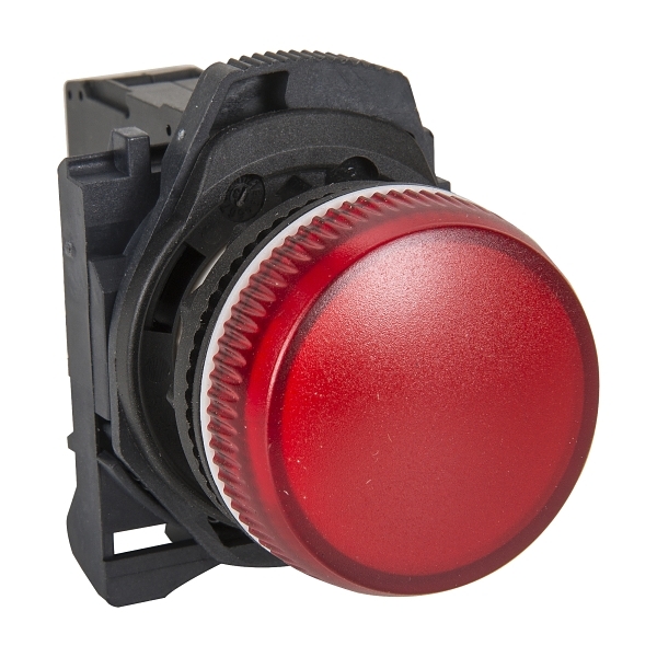 D7PP4PN7R Pilot Light 22mm
