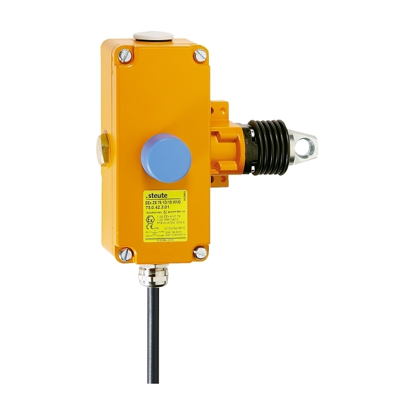 EEXZS752O2SWVD HAE Cable Pull Switch