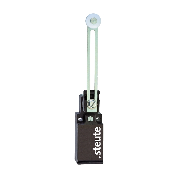 ES95DS1O1S Limit Switch