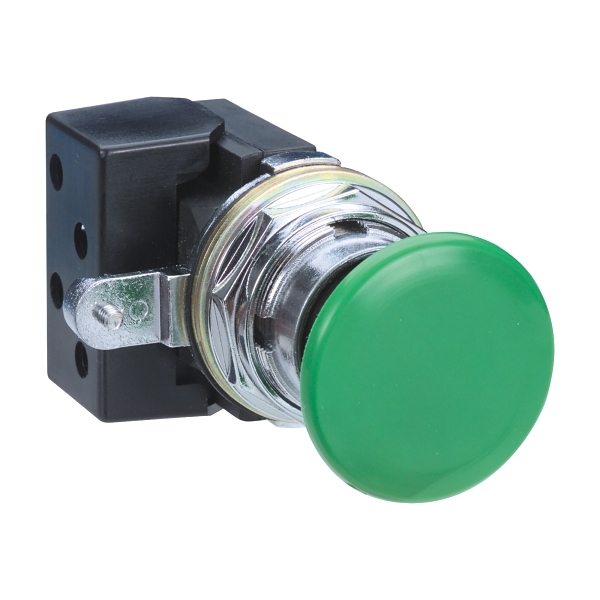 NT20CRNPAK Pushbutton 30mm