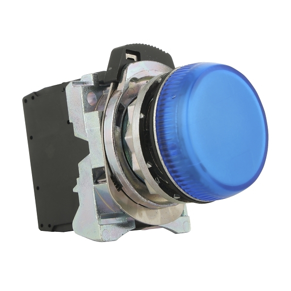D7MP6MN3W Pilot Light 22mm