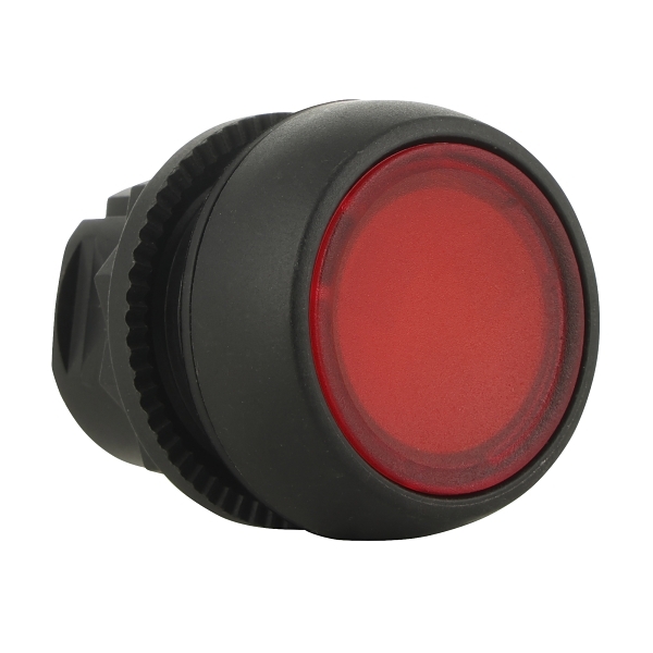 D7PLF4 Pushbutton 22mm