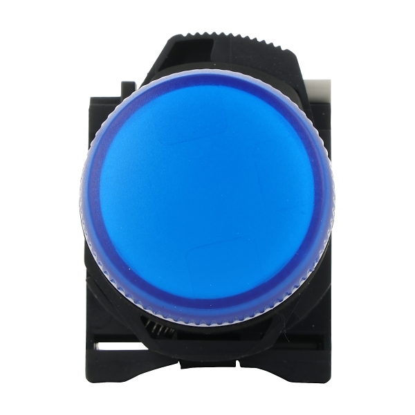 D7PP6PN3BXD7 Pilot Light 22mm