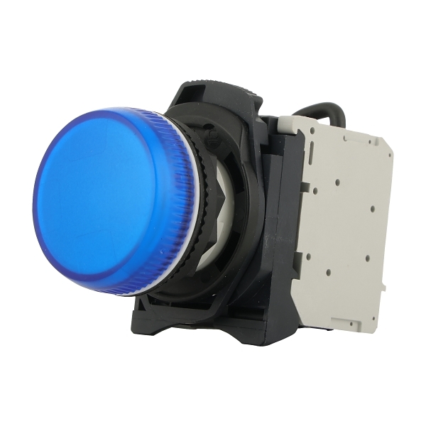 D7PP6PN3BXD7 Pilot Light 22mm