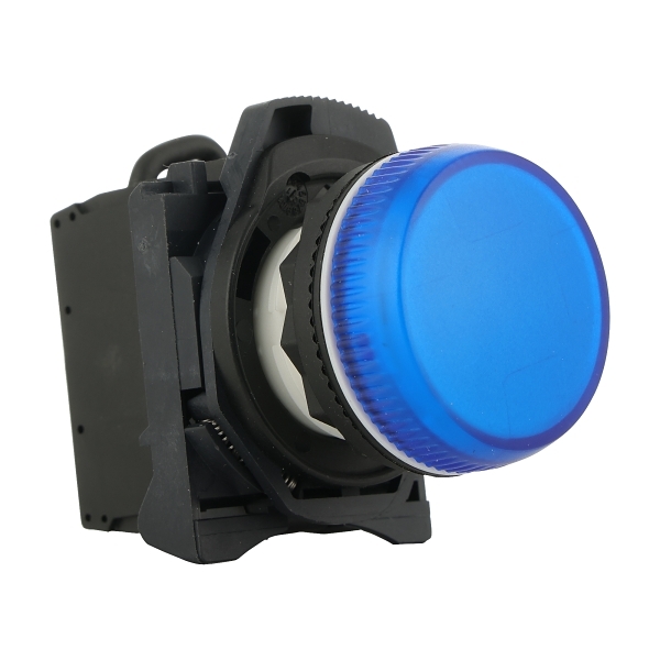 D7PP6PN3BXD7 Pilot Light 22mm