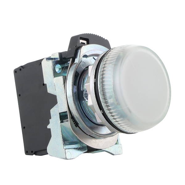 D7MP7MN5W Pilot Light 22mm