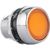 D7MLF0 Pushbutton 22mm