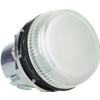 D7MP7 Pilot Light 22mm