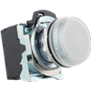 D7MP7MN5W Pilot Light 22mm