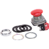 800TCD6D2 Pushbutton 30mm